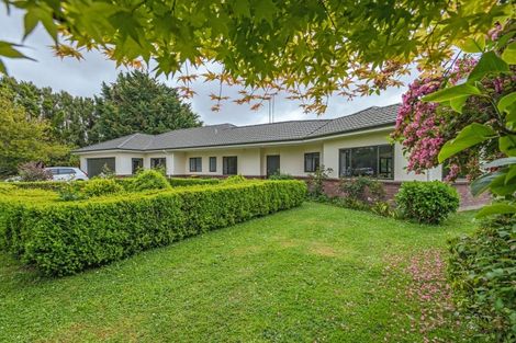 Photo of property in 10 Tui Glen Drive, Levin, 5571