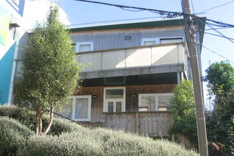 Photo of property in 14 Douglas Street, Mount Cook, Wellington, 6021