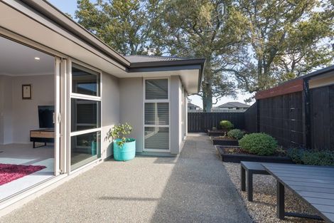 Photo of property in 53 Malone Crescent, Richmond, 7020