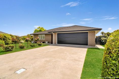 Photo of property in 11 Ngaio Street, Levin, 5510