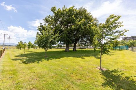 Photo of property in 69 Sowry Road, Woodville, 4920