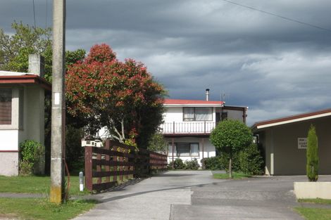 Photo of property in 29 Kaimanawa Street, Taupo, 3330