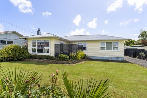 Photo of property in 19 Freyberg Street, Levin, 5510