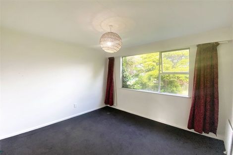 Photo of property in 55 Opawa Road, Waltham, Christchurch, 8023