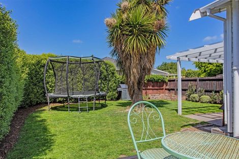 Photo of property in 8 Frankleigh Street, Somerfield, Christchurch, 8024