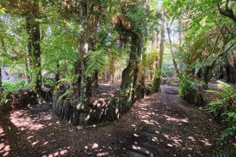 Photo of property in 9 Falstaff Street, Stratford, 4332