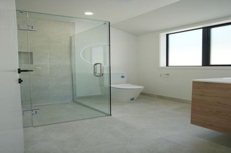 Photo of property in 50a Vogel Street, Roslyn, Palmerston North, 4414