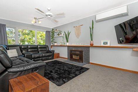 Photo of property in 53 Winter Street, Mangapapa, Gisborne, 4010