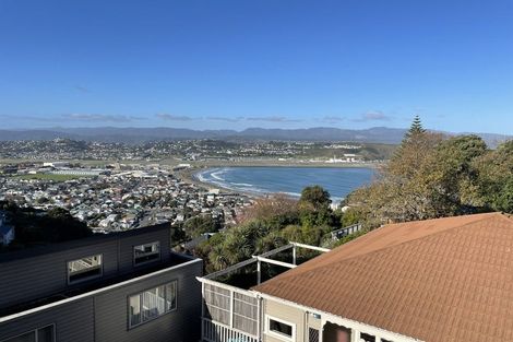 Photo of property in 51 Hornsey Road, Melrose, Wellington, 6023