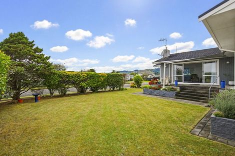 Photo of property in 24 Featherston Street, Levin, 5510