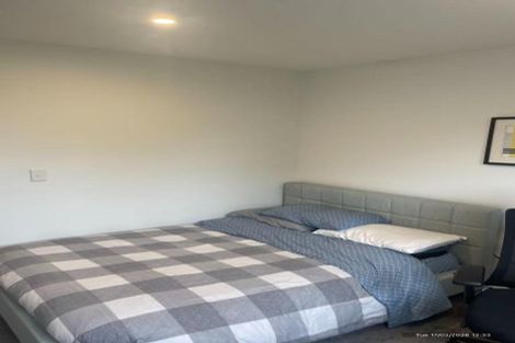 Photo of property in 17 Bings Lane, Richmond, Christchurch, 8013