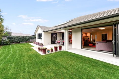 Photo of property in 55 Palliser Drive, Huntington, Hamilton, 3210