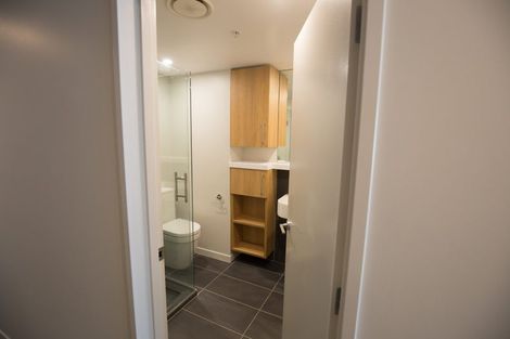 Photo of property in Vsp South, 806/168u Victoria Street, Te Aro, Wellington, 6011