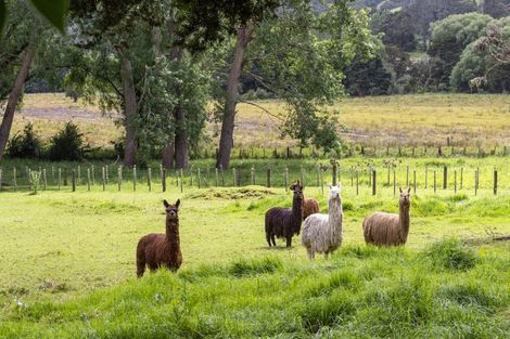 Photo of property in 1174 Kahikatea Flat Road, Waitoki, Kaukapakapa, 0871