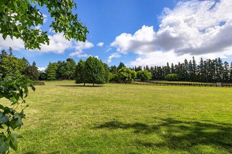 Photo of property in 248 Pencarrow Road, Tamahere, Hamilton, 3283