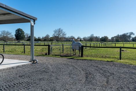 Photo of property in 107 Pencarrow Road, Tamahere, Hamilton, 3283