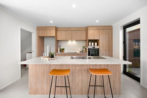 Photo of property in 44 Musselwhite Terrace, Chartwell, 3210