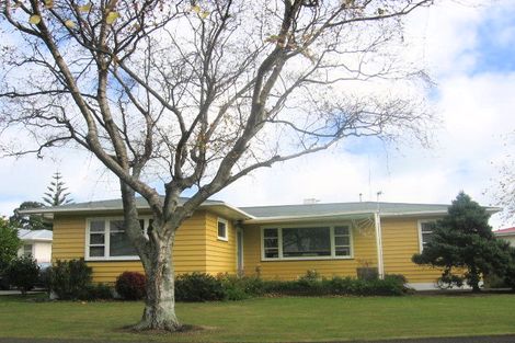 Photo of property in 70 Birmingham Street, Takaro, Palmerston North, 4412