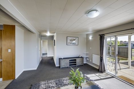 Photo of property in 43 Lanark Place, Tamatea, Napier, 4112
