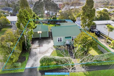 Photo of property in 19 Rimu Street, New Lynn, Auckland, 0600