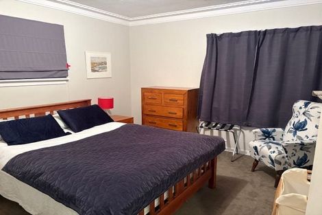 Photo of property in 175 Signal Hill Road, Opoho, Dunedin, 9010