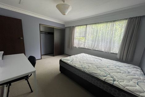 Photo of property in 100 London Street, Dunedin Central, Dunedin, 9016