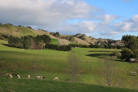 Photo of property in 17 Hill Street, Te Kuiti, 3910