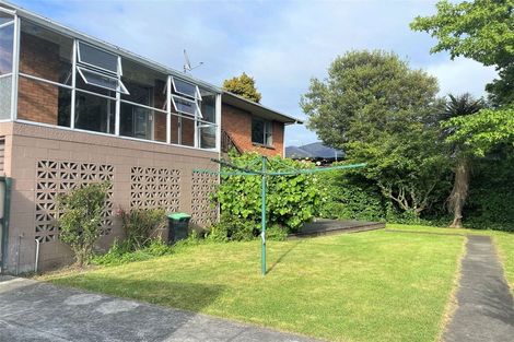 Photo of property in 55 Opawa Road, Waltham, Christchurch, 8023
