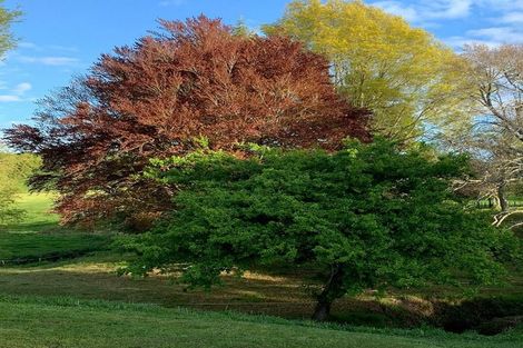 Photo of property in 306 Karapiro Road, Karapiro, Cambridge, 3496