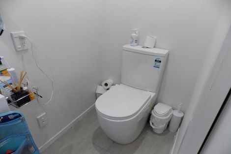 Photo of property in 127u1 Raroa Road, Aro Valley, Wellington, 6012