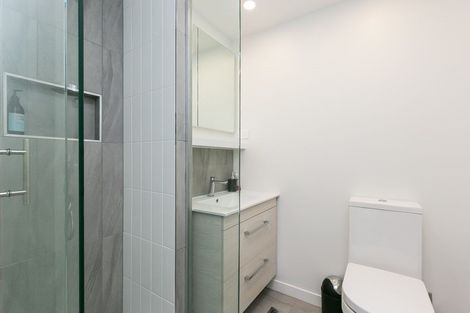 Photo of property in Vsp South, 205/168u Victoria Street, Te Aro, Wellington, 6011