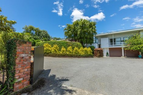 Photo of property in 38 Nelson Street, Waipukurau, 4200