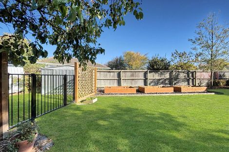 Photo of property in 17 Skipton Street, Mairehau, Christchurch, 8013