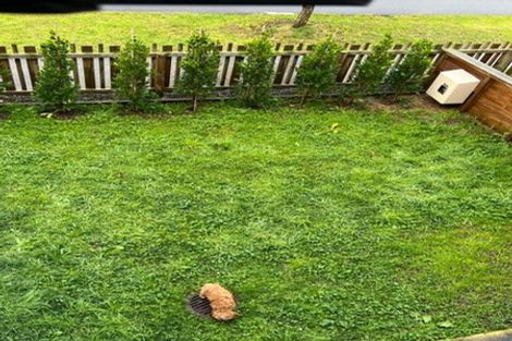 Photo of property in 16 Meritage Lane, Te Atatu South, Auckland, 0610