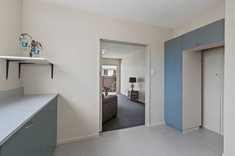 Photo of property in 14 Suffolk Street, Phillipstown, Christchurch, 8011