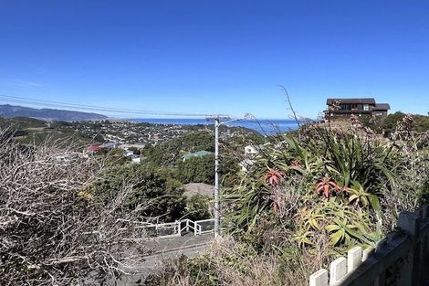 Photo of property in 168 The Ridgeway, Mornington, Wellington, 6021