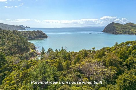 Photo of property in 1451 Port Charles Road, Port Charles, Coromandel, 3584