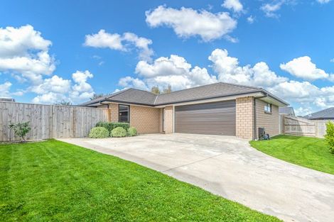 Photo of property in 11 Monarch Drive, Ashhurst, 4810
