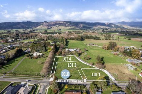 Photo of property in 43 Gillespie Street, Lake Hawea, 9382