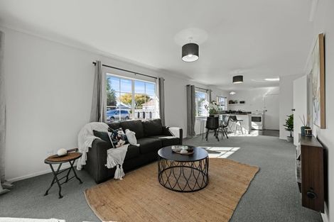 Photo of property in 10a Ihle Street, Terrace End, Palmerston North, 4410