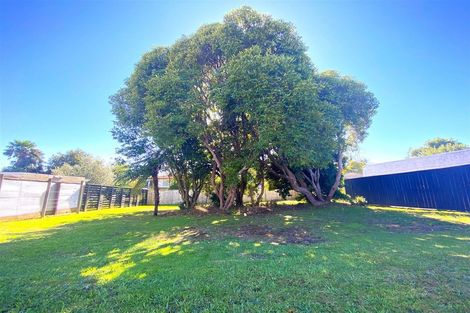 Photo of property in 195 Elizabeth Avenue, Te Awamutu, 3800