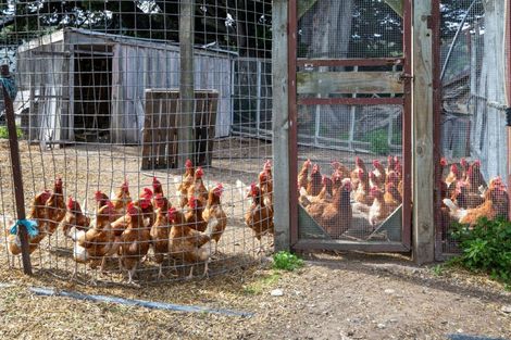Photo of property in 1905 Christchurch Akaroa Road, Gebbies Valley, Christchurch, 7672