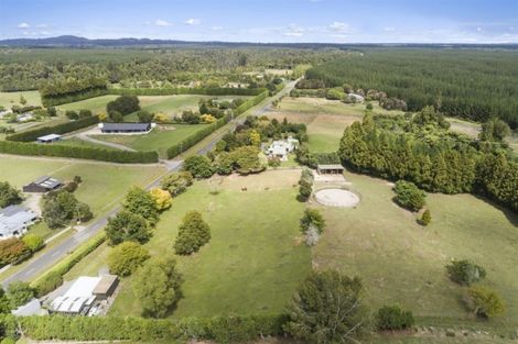 Photo of property in 1280 Omanawa Road, Omanawa, Tauranga, 3171