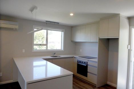 Photo of property in 25 Plynlimon Road, Fendalton, Christchurch, 8052