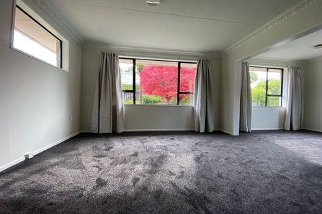 Photo of property in 12 Salisbury Road, Bradford, Dunedin, 9011