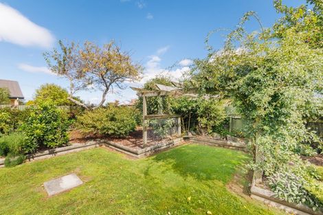 Photo of property in 56 Sherwill Street, Feilding, 4702