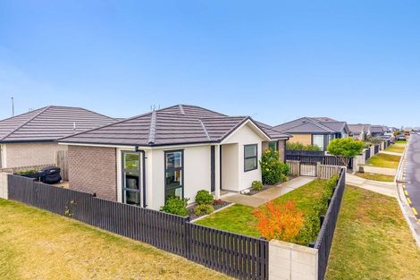 Photo of property in 77 Union Drive, Papamoa, 3118