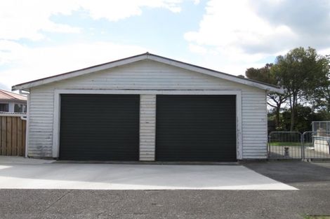 Photo of property in 79 Tiro Tiro Road, Levin, 5510