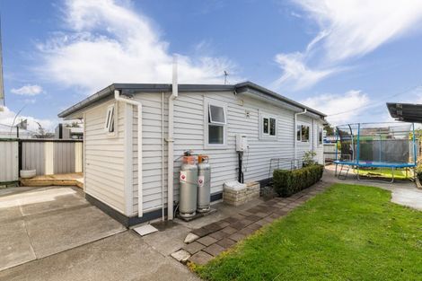 Photo of property in 516 Frederick Street, Mahora, Hastings, 4120