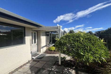 Photo of property in 252 Bridge Street, The Wood, Nelson, 7010